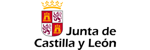 Junta de Castilla y Leon